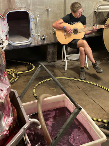 Adult beginner student practicing acoustic guitar during a quick, fun break at her winery.